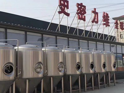 保定精酿啤酒设备厂—如何判断精酿啤酒设备的密封件需要更换？